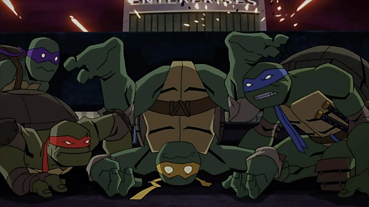 Batman vs Teenage Mutant Ninja Turtles