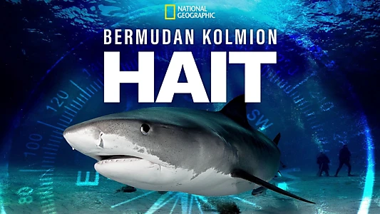 Sharks of the Bermuda Triangle