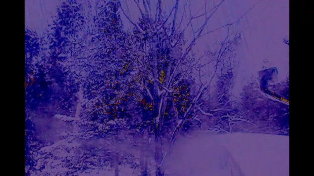 Cottage Movie