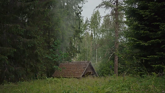 Smoke Sauna Sisterhood