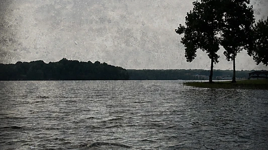 The Lake