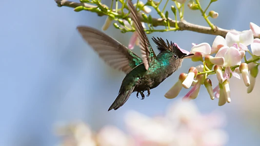 Santuari della natura