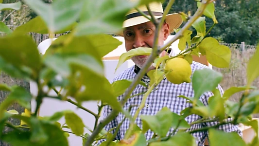 Watch Cueillette du citron Trailer