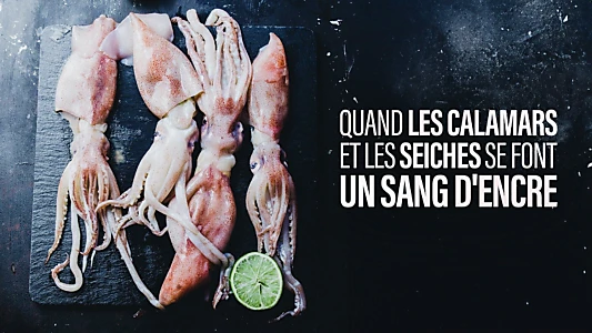 Quand les calamars et les seiches se font un sang d'encre