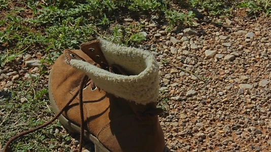 To Bet One's Boot
