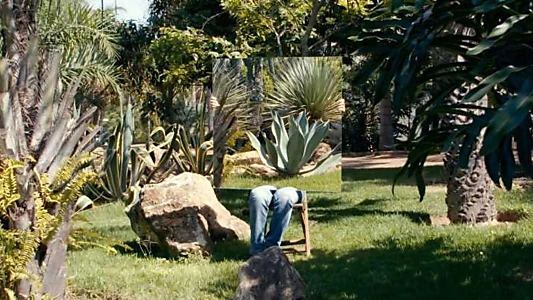 Giuseppe Penone