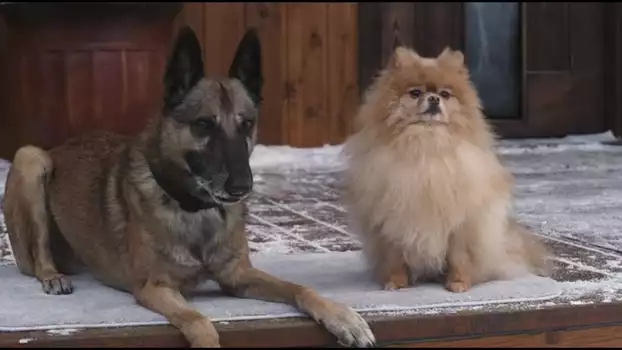 Watch Step Dogs Trailer