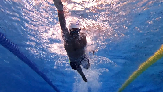 Watch Dive: The Beginning Trailer