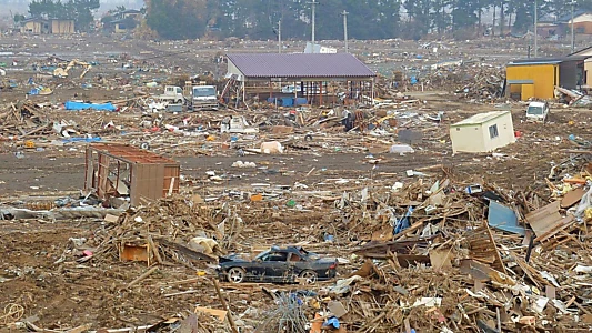 Le Tsunami des belges