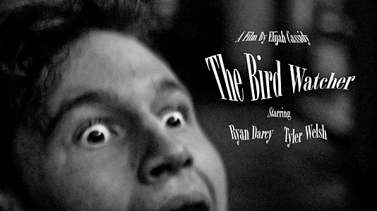 Watch The Bird Watcher Trailer