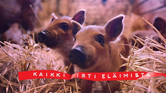 Kaikki irti eläimistä
