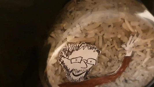Silverfisken