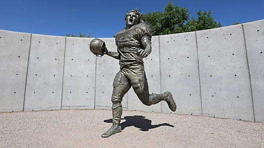 Watch Pat Tillman: Life. Death. Legacy. Trailer