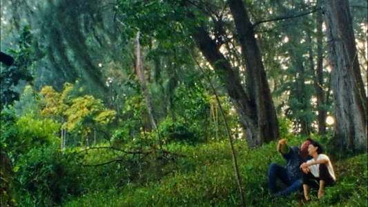Watch Durian, Durian Trailer