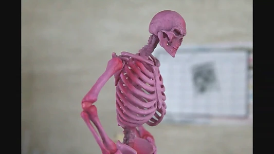 Karoshi