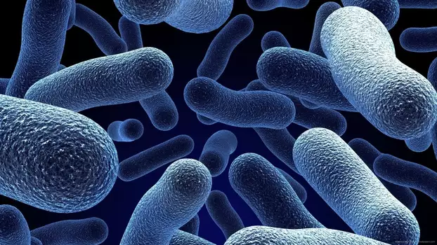 Watch Bacterial World Trailer