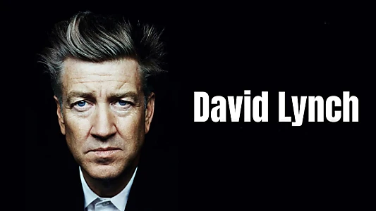 David Lynch, A Hollywood Enigma