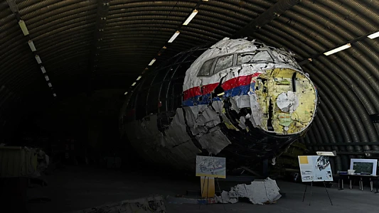 Watch Murder In The Skies: Who Downed Mh17? Trailer