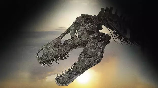Watch Dinosaur 13 Trailer