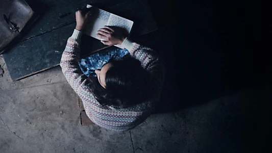 Anne Frank, journal d'une adolescente