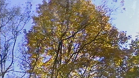 Watch Leaves Trailer
