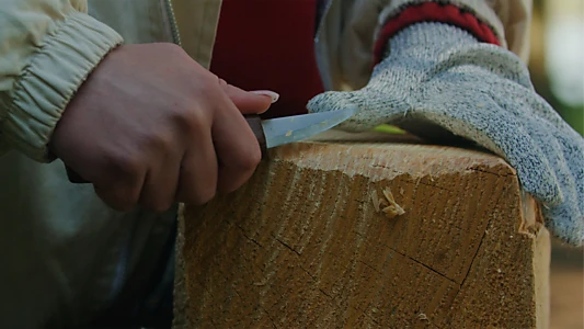 Watch Carved Trailer