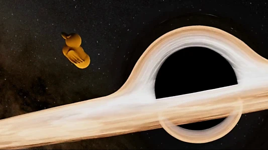 Watch Duck vs. Car Trailer