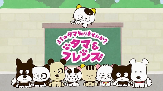 Tama and Friends: Have You Seen My Tama?