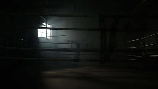 Watch My Fighter Trailer