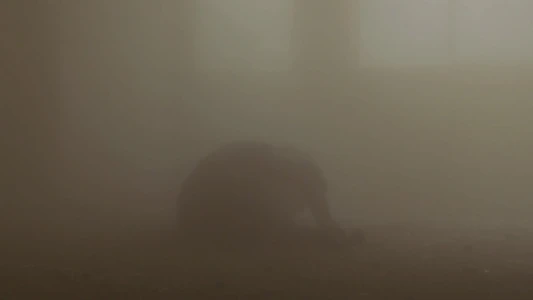 Sicario