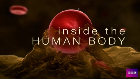 Watch Inside the Human Body Trailer