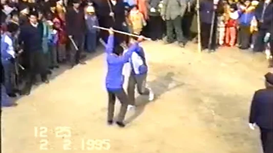 1995年2月2日民间举办迎喜花会