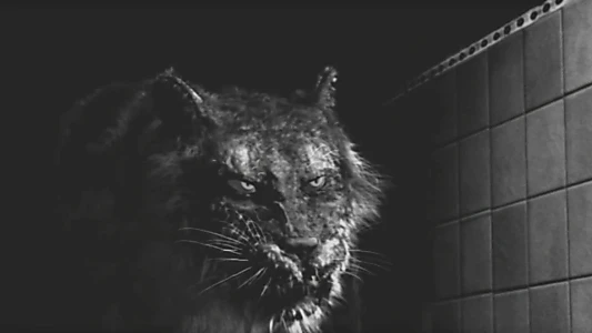 Watch Tyger Trailer