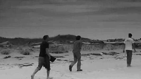 Watch Night Surf Trailer