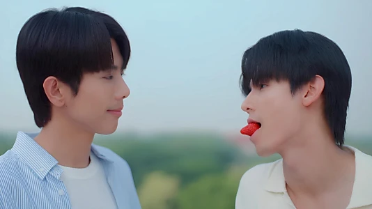 Watch The Love Never Sets Trailer