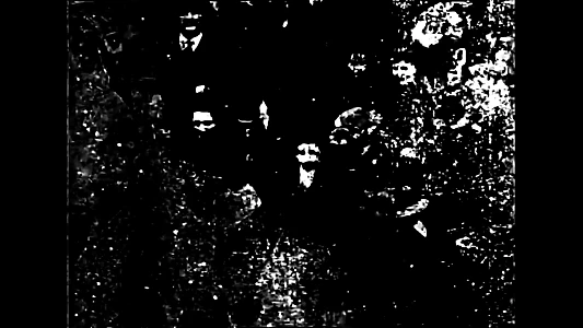 Congregation