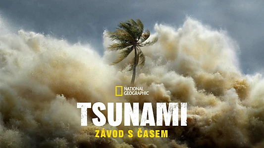 Tsunami: Race Against Time