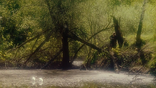Valley of Dreams