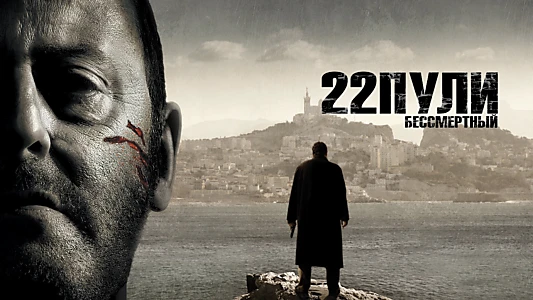 22 Bullets