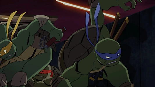 Batman vs Teenage Mutant Ninja Turtles