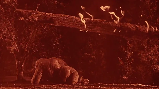Mighty Joe Young