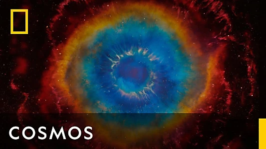 Cosmos