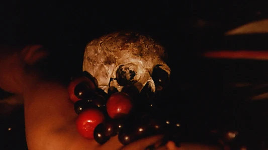 I Drink Your Blood