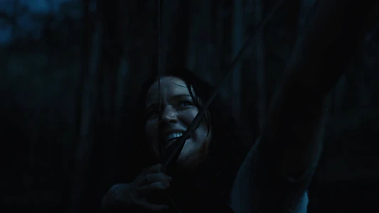 The Hunger Games: Catching Fire