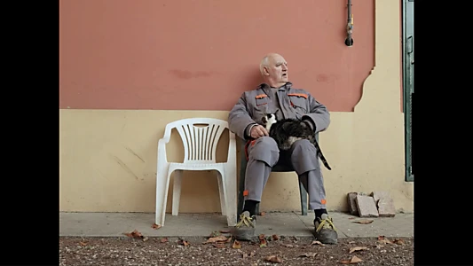 Watch Into Hibernation Trailer
