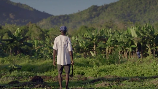 Haïti, la rançon de l'indépendance