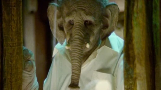 Watch Elefante Trailer