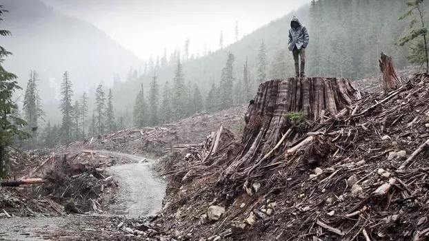 Watch If a Tree Falls: A Story of the Earth Liberation Front Trailer