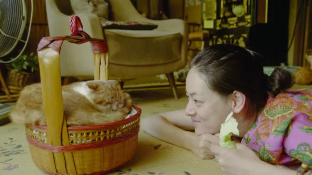 Watch Rent-a-Cat Trailer