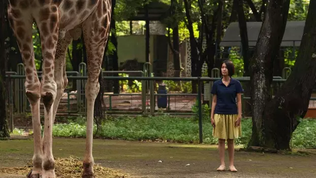 Watch Postcards from the Zoo Trailer